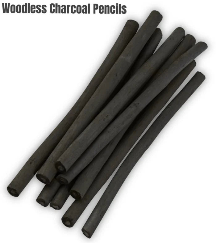 12 Assorted Willow Charcoal Sketch Drawing Natural Charcoal Sticks Drawing